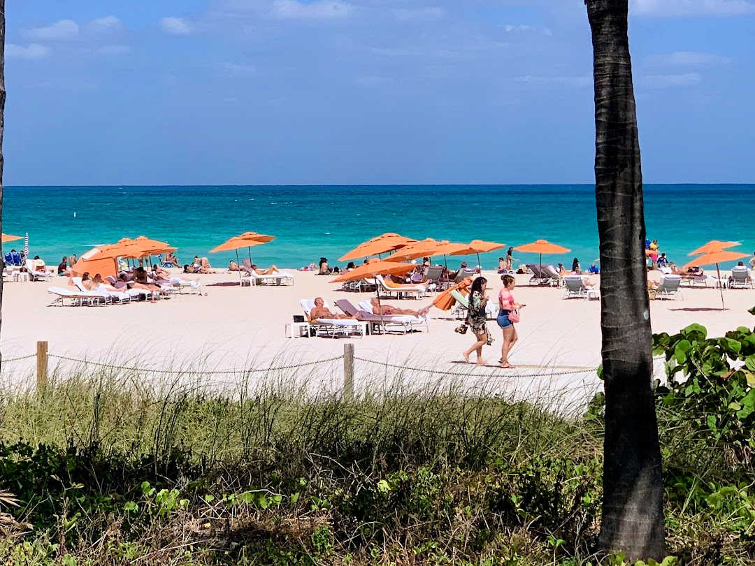 With so many fun things in South Beach, the question isn't what to do but where to start.