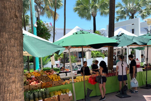 Lincoln Road Farmers market every Sunday