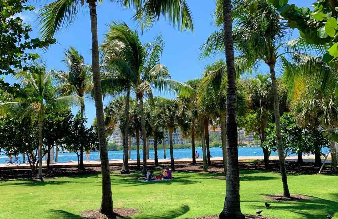 Grab a picnic basket and head to South Pointe Park 
