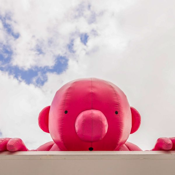 06A04591-645A-4962-B96C-0208C7670340_1_102_o