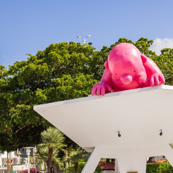 5FE35CE8-69FA-416A-95BA-FFC618516B87_1_102_o