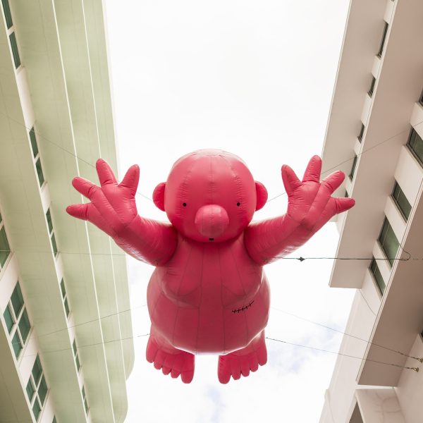 9C19F15D-E98C-4BFD-9916-27047A672FDF_1_102_o