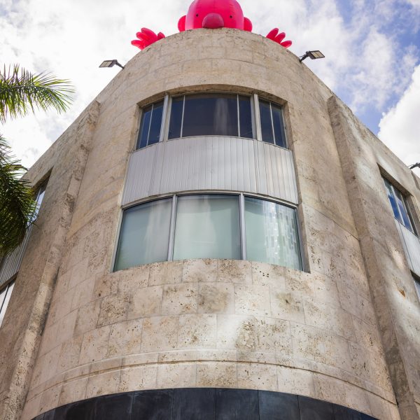 CC1F900B-2477-45D9-960B-19E46C1FD9A1_1_102_o